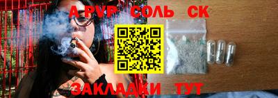 индика Лесосибирск