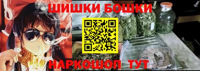 индика Лесосибирск