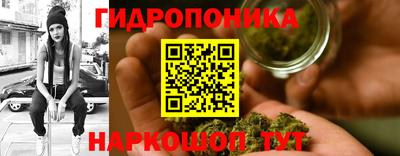 индика Лесосибирск