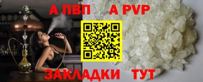 индика Лесосибирск