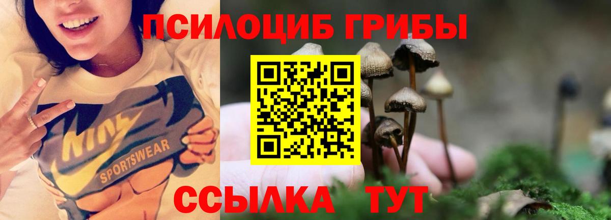 Галлюциногенные грибы Magic Shrooms  сколько стоит  Вход с VPN  Озёрск  Псилоцибиновые грибы мицелий 